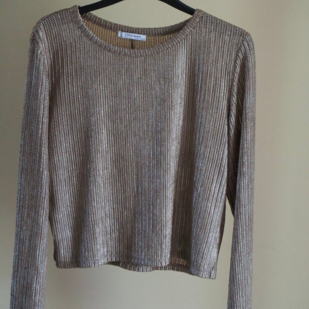 Zara sweater